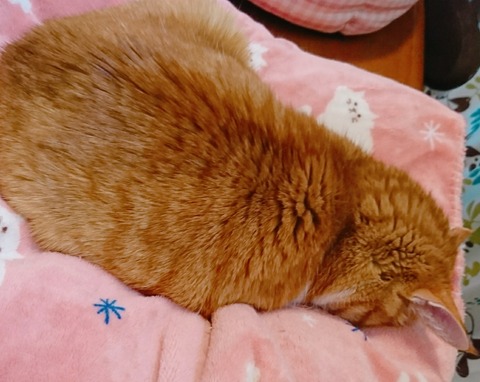 21-01-16-12-19-43-032_deco