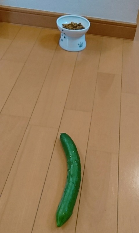 20-12-17-12-26-33-838_deco