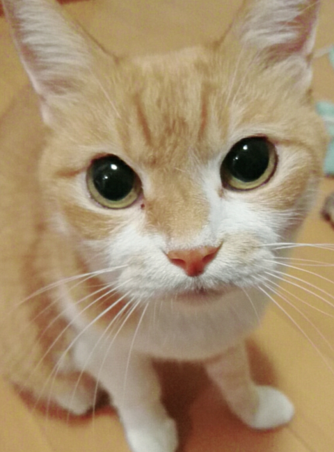 sketch-1601352424888