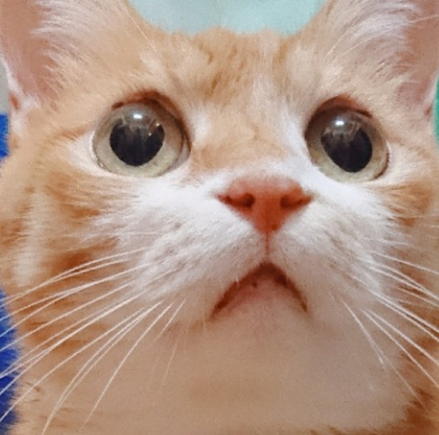 20-07-02-13-24-49-351_deco