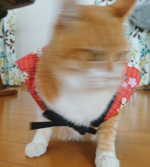 21-01-01-12-19-31-261_deco