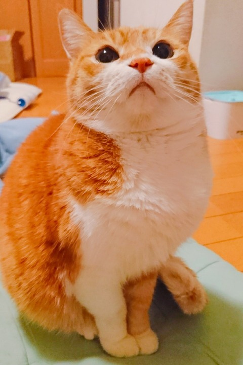 20-06-24-11-46-03-467_deco