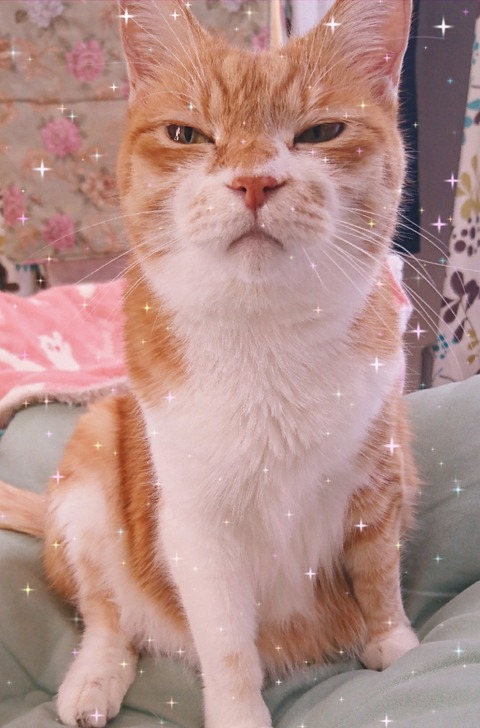 20-12-31-12-04-49-004_deco