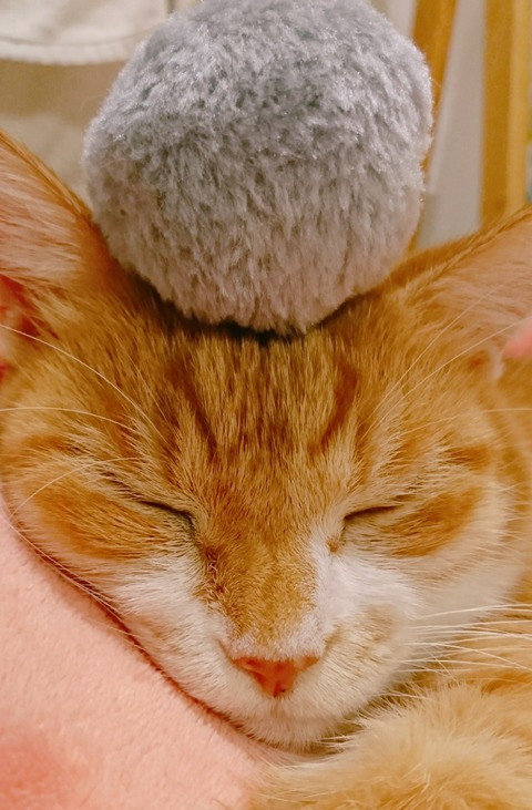 20-10-22-14-25-03-835_deco