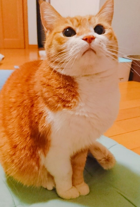 20-06-24-11-44-52-600_deco