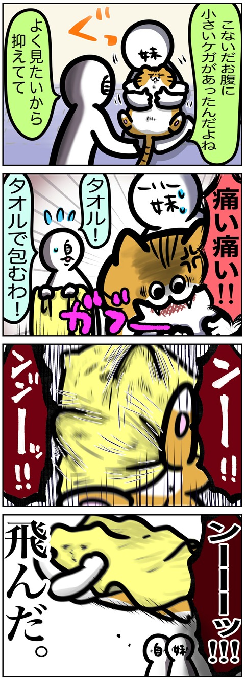イラスト427