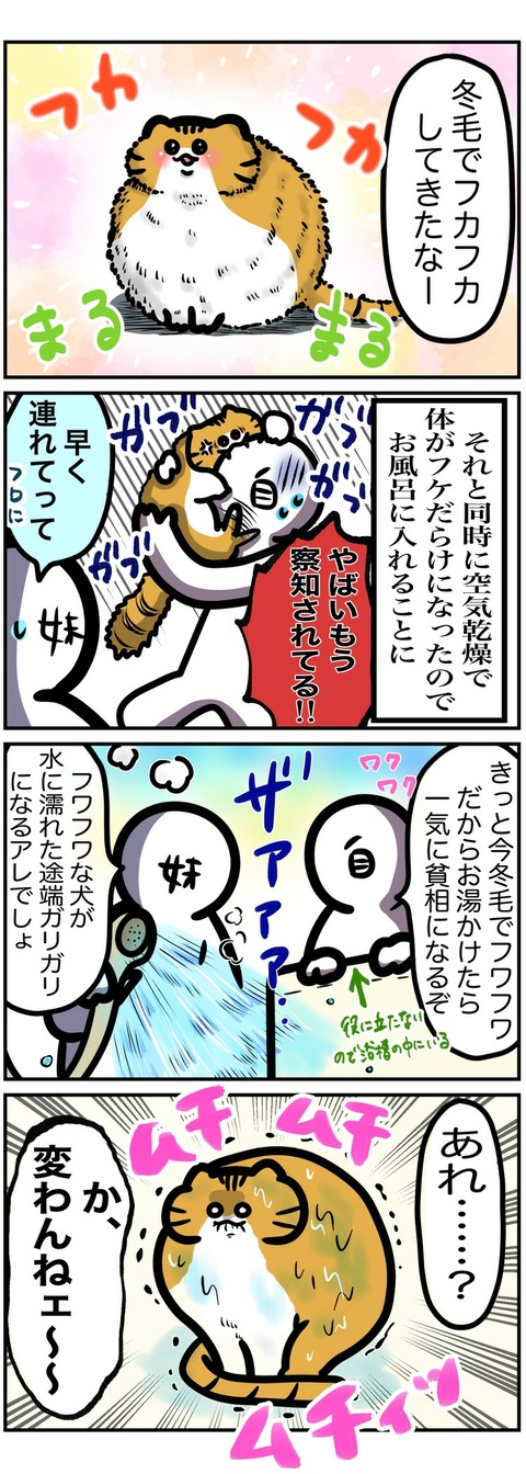 イラスト514
