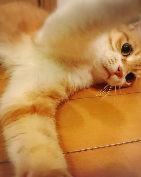 20-07-15-14-19-15-476_deco