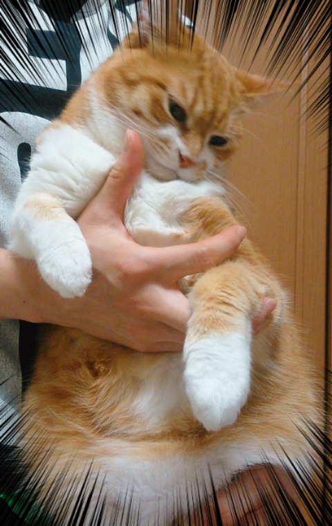 20-12-19-12-07-21-591_deco