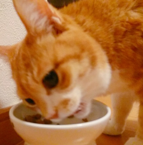 20-09-25-14-07-05-793_deco