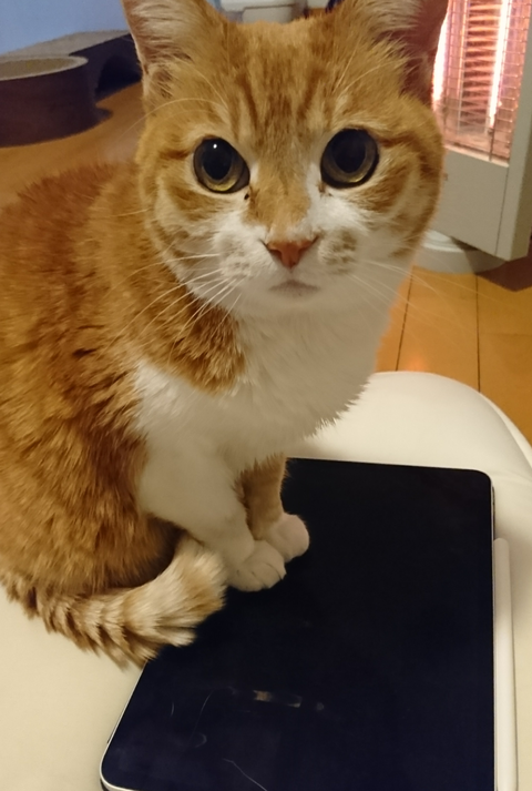 sketch-1591670677581