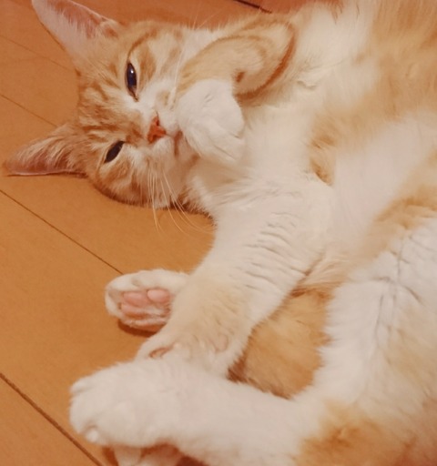 20-08-30-12-03-54-312_deco