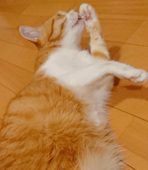 20-09-23-12-29-28-823_deco