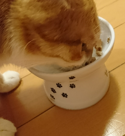 sketch-1600831588701