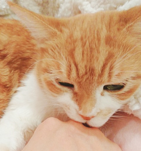 20-09-16-13-01-31-686_deco