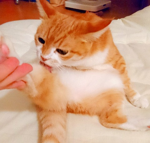 20-06-23-12-12-35-005_deco