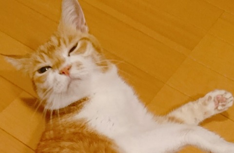 20-09-23-12-28-18-656_deco