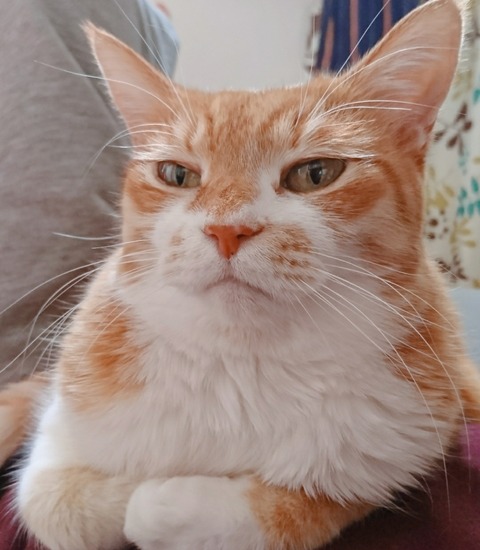 20-09-19-13-12-54-188_deco