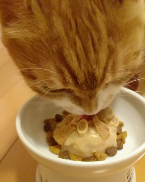 sketch-1600831515073