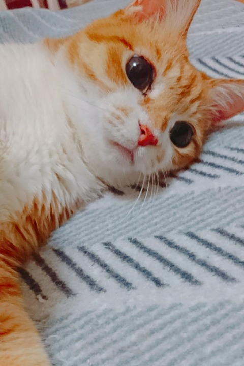 20-07-17-14-11-06-630_deco