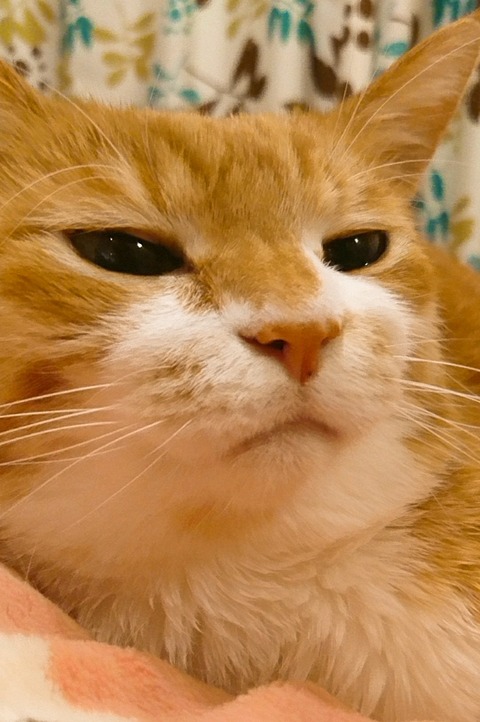 20-07-16-12-46-33-720_deco