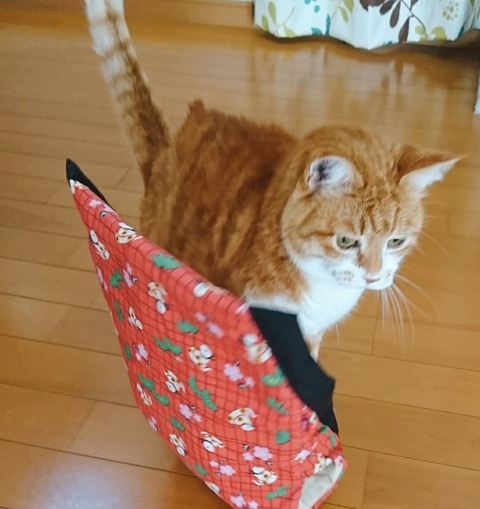 21-01-01-12-19-38-825_deco