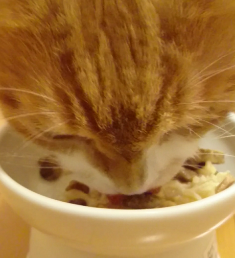 sketch-1600831550982