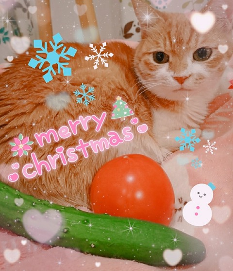 20-12-23-11-55-28-404_deco