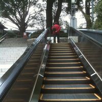 日枝神社