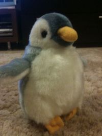 penguin