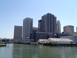 tyharbor