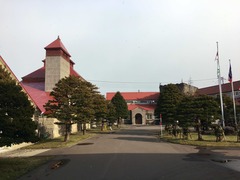 IMG_6454
