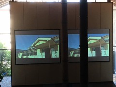 IMG_3714