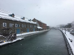 IMG_7193