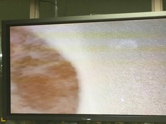 IMG_4892