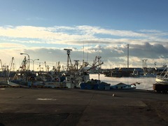 IMG_7357