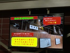 IMG_4939