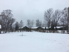 IMG_6785
