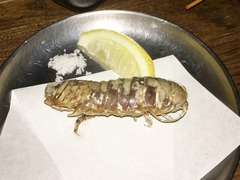 IMG_4571
