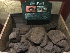 IMG_6857
