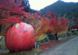 2010111915240002