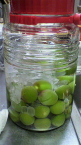 2011060821030000
