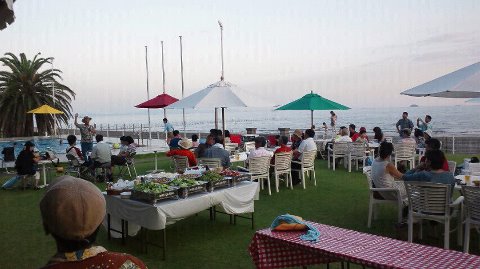 402161_337081336379047_975282575_n