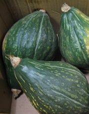 20110830_2340592