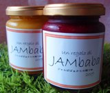 JAMba1