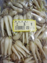 P5290003