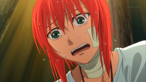 まとめ感想 1 22 魔法使いの嫁 １5話感想 たくのみ 2話感想 ダーリン イン ザ フランキス 2話感想 ショーシャンクの空に 感想 等 私的urawareds Subcul