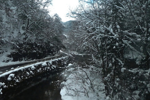 ⑥伯備線車窓雪景色