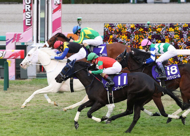 綺麗です してもらった事は石に刻め してあげた事は水に流せ