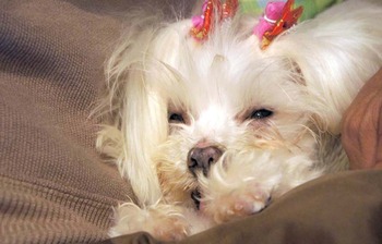 ���140222DSC05613